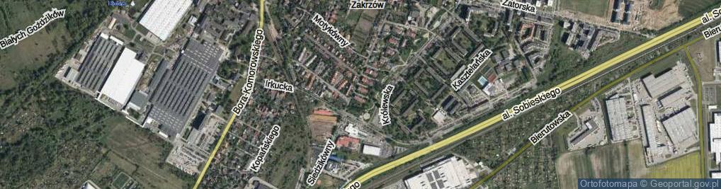 Zdjęcie satelitarne Ryska ul.