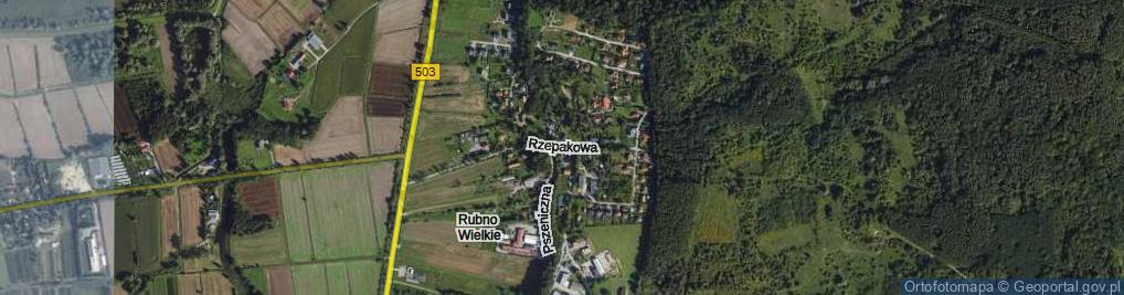 Zdjęcie satelitarne Rzepakowa ul.