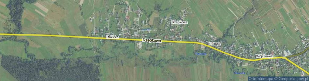 Zdjęcie satelitarne Rzepkowa ul.