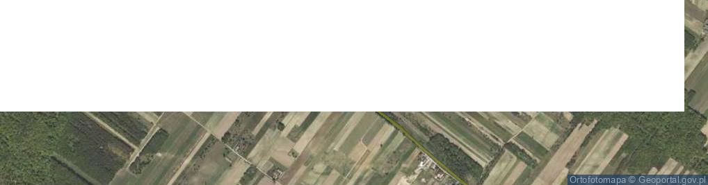 Zdjęcie satelitarne Rzeczyca-Kolonia ul.