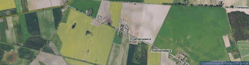 Zdjęcie satelitarne Rzemieniewice ul.