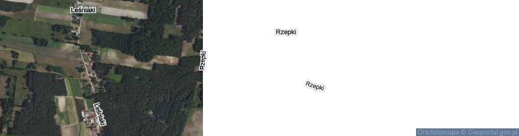 Zdjęcie satelitarne Rzepki ul.