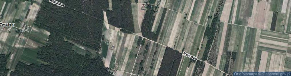 Zdjęcie satelitarne Rzyczyna ul.