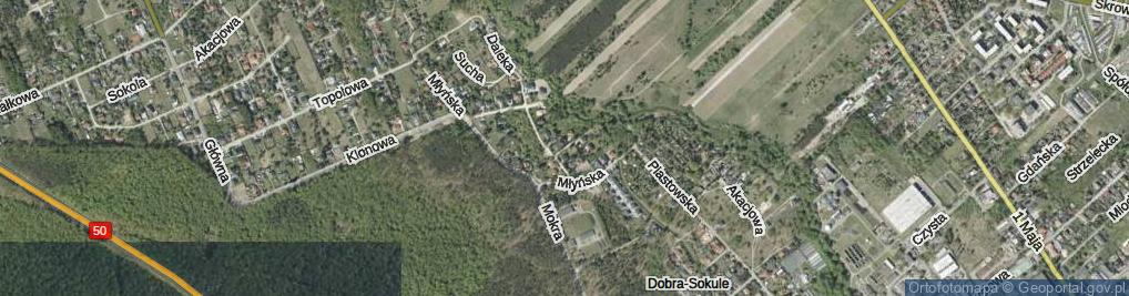 Zdjęcie satelitarne Rzeczna ul.