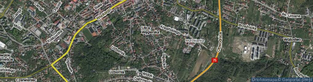 Zdjęcie satelitarne Sądecka ul.