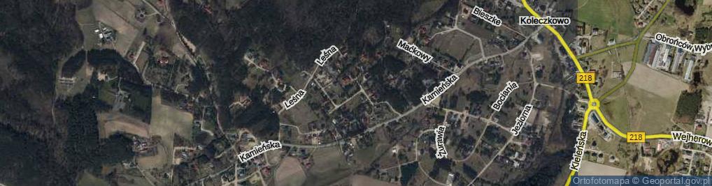 Zdjęcie satelitarne Sarnia Góra ul.