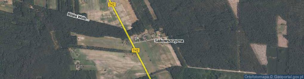 Zdjęcie satelitarne Salkowszczyzna ul.