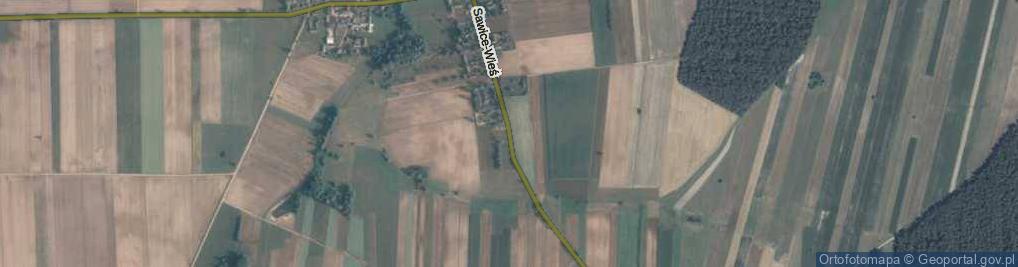 Zdjęcie satelitarne Sawice-Wieś ul.