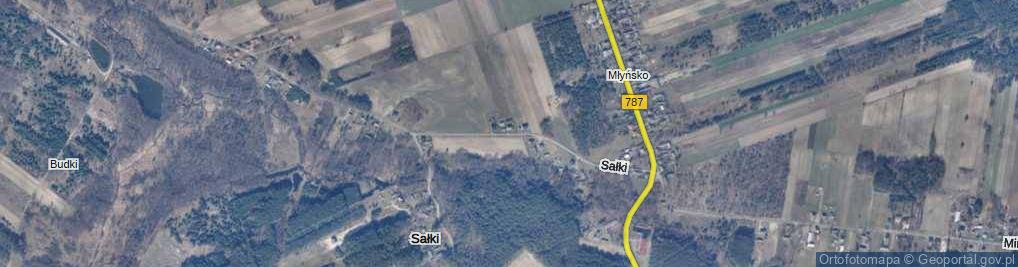 Zdjęcie satelitarne Sałki ul.