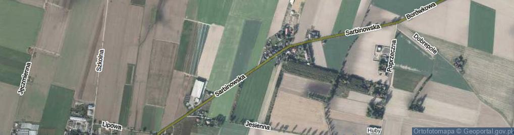 Zdjęcie satelitarne Sarbinowska ul.