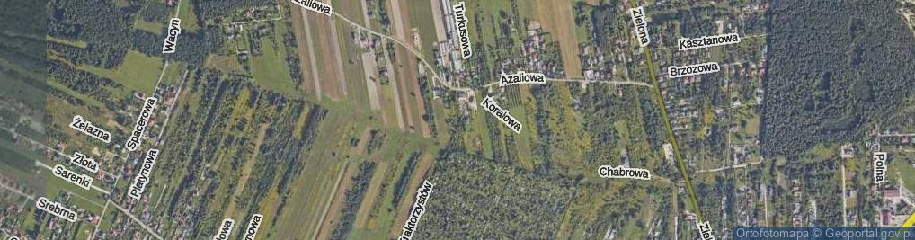 Zdjęcie satelitarne Seledynowa ul.