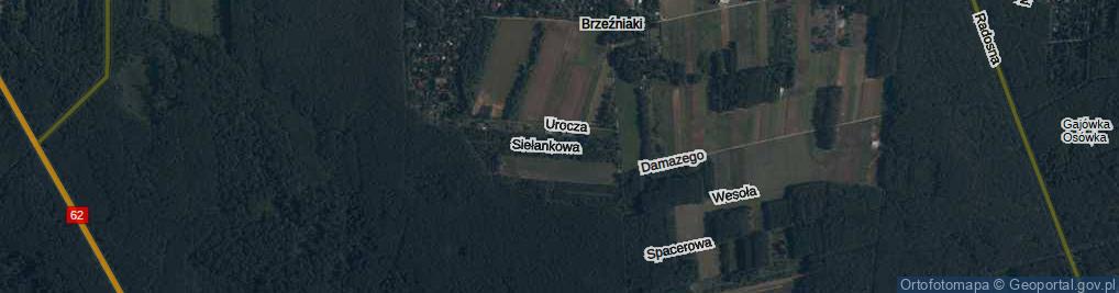 Zdjęcie satelitarne Sielankowa ul.