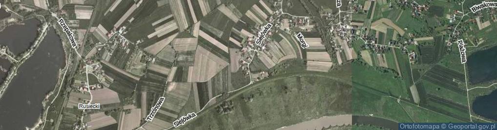 Zdjęcie satelitarne Siejówka ul.
