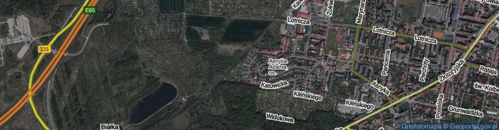 Zdjęcie satelitarne Siemianowicka ul.