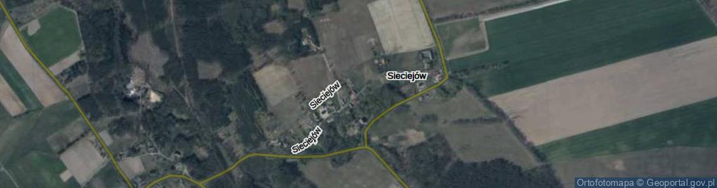 Zdjęcie satelitarne Sieciejów ul.