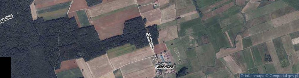 Zdjęcie satelitarne Sierbowce ul.