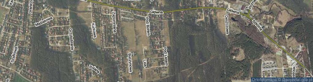 Zdjęcie satelitarne Skwer Topolowy skw.
