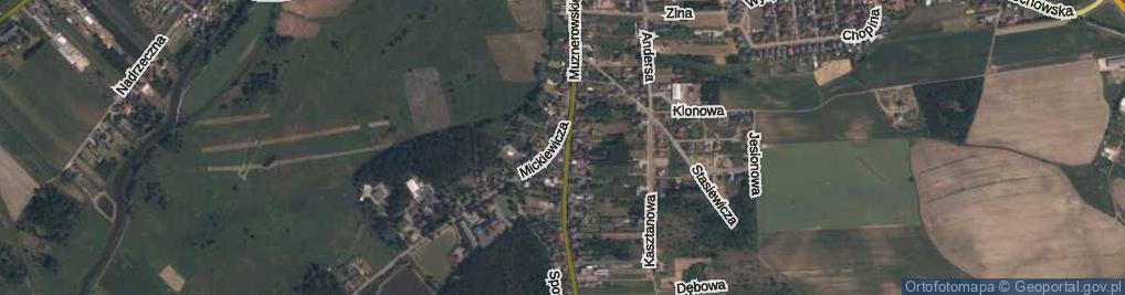 Zdjęcie satelitarne Skwer Raczyńskiego Zenona, ks. skw.
