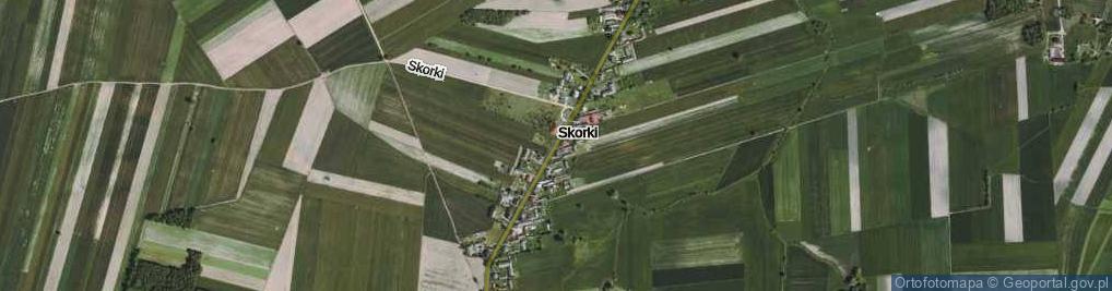 Zdjęcie satelitarne Skorki ul.