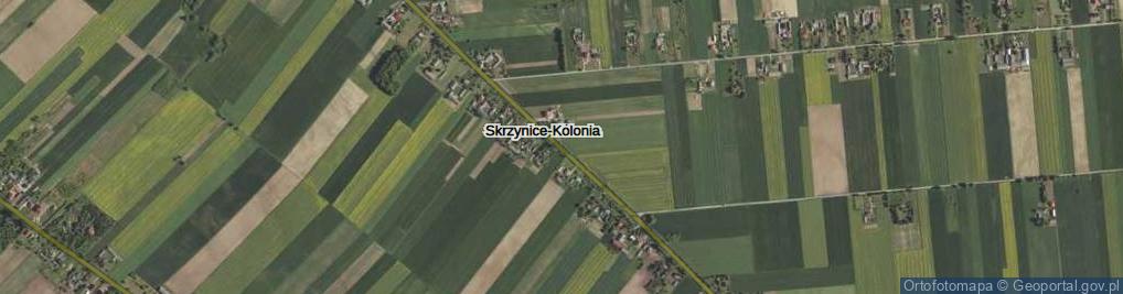 Zdjęcie satelitarne Skrzynice-Kolonia ul.