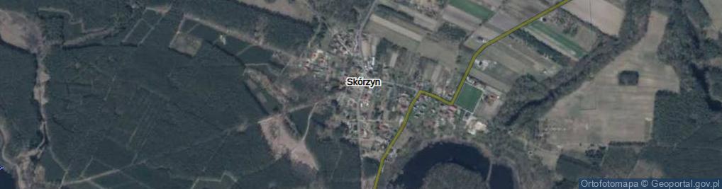 Zdjęcie satelitarne Skórzyn ul.
