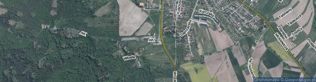 Zdjęcie satelitarne Skwer Biegacza skw.