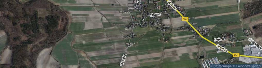 Zdjęcie satelitarne Sławicka ul.