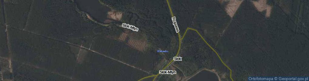 Zdjęcie satelitarne Słok-Młyn ul.
