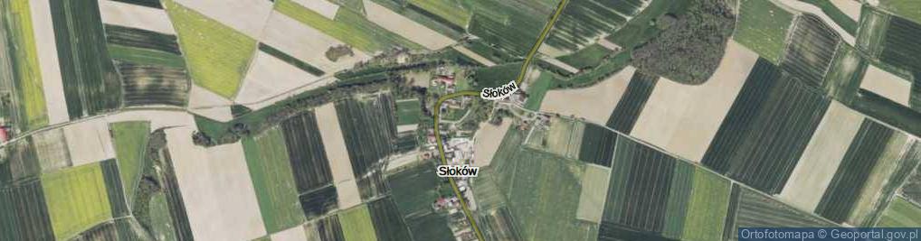 Zdjęcie satelitarne Słoków ul.
