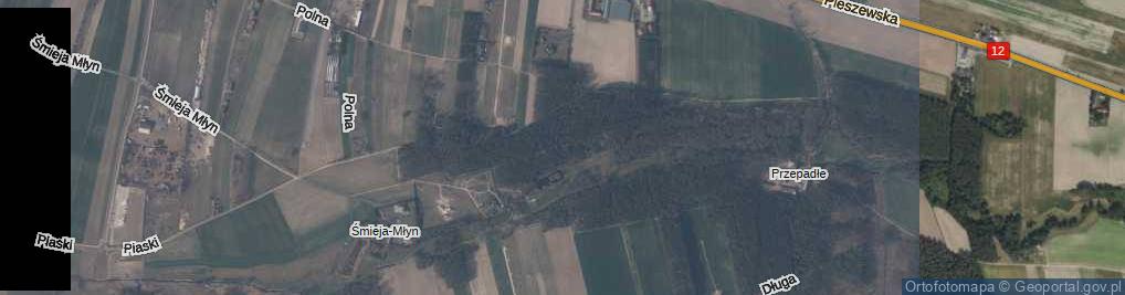 Zdjęcie satelitarne Śmieja-Młyn ul.
