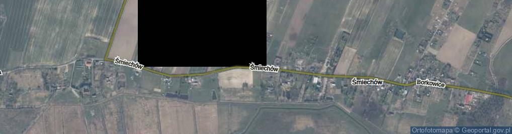 Zdjęcie satelitarne Śmiechów ul.