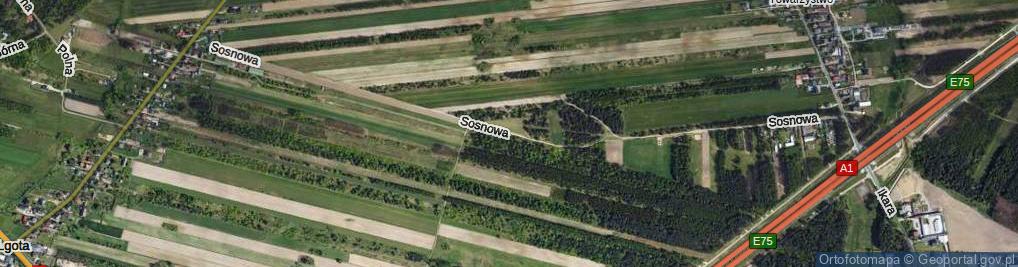 Zdjęcie satelitarne Sosnowa ul.