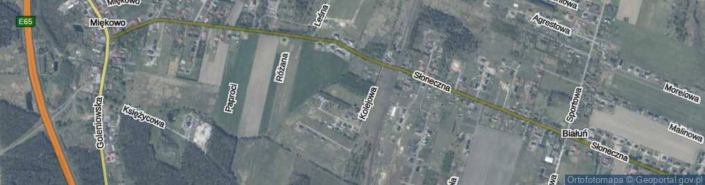 Zdjęcie satelitarne Sosnowa ul.