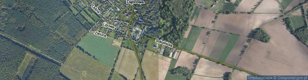 Zdjęcie satelitarne Sokolnicka ul.