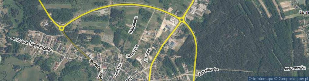 Zdjęcie satelitarne Sosnowa ul.