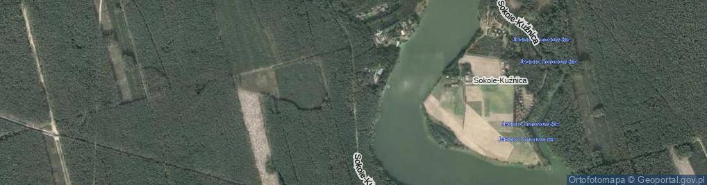 Zdjęcie satelitarne Sokole-Kuźnica ul.