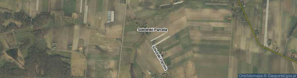 Zdjęcie satelitarne Sokolniki-Parcela ul.