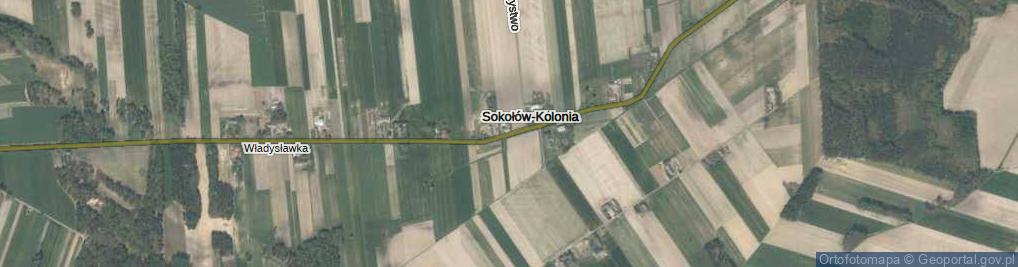 Zdjęcie satelitarne Sokołów-Kolonia ul.