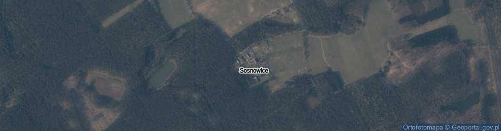 Zdjęcie satelitarne Sosnowice ul.