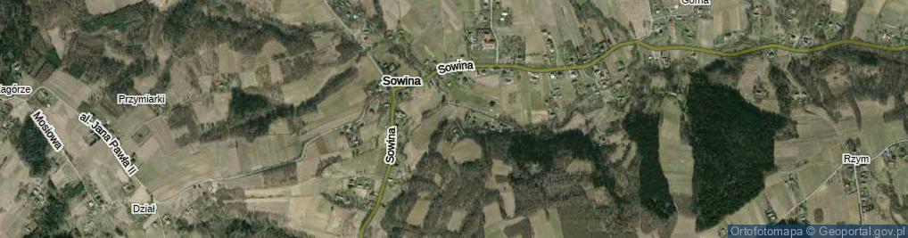 Zdjęcie satelitarne Sowina ul.