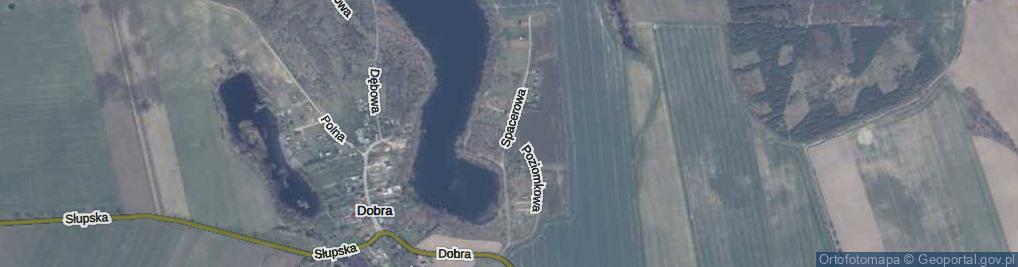 Zdjęcie satelitarne Spacerowa ul.