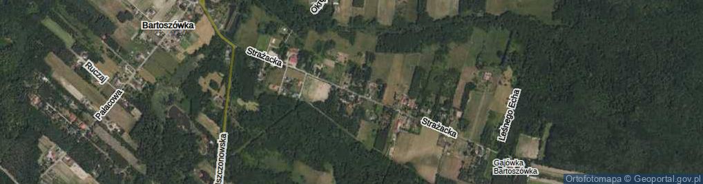 Zdjęcie satelitarne Strażacka ul.