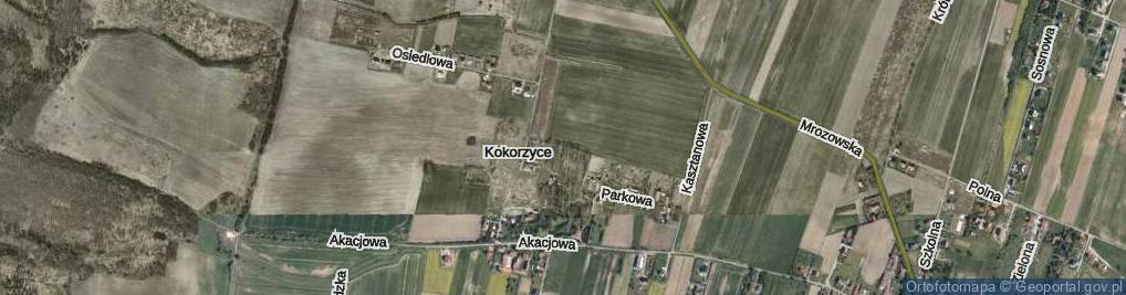 Zdjęcie satelitarne Stawowa ul.