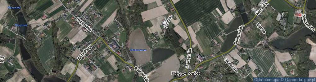 Zdjęcie satelitarne Stroma ul.