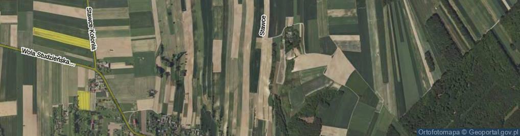 Zdjęcie satelitarne Stawce ul.