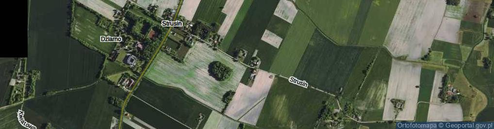 Zdjęcie satelitarne Strusin ul.