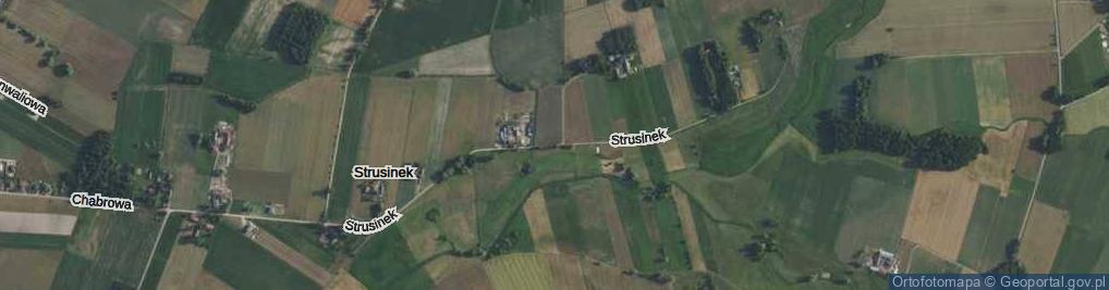 Zdjęcie satelitarne Strusinek ul.