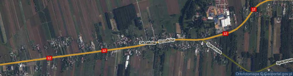 Zdjęcie satelitarne Strzałków ul.