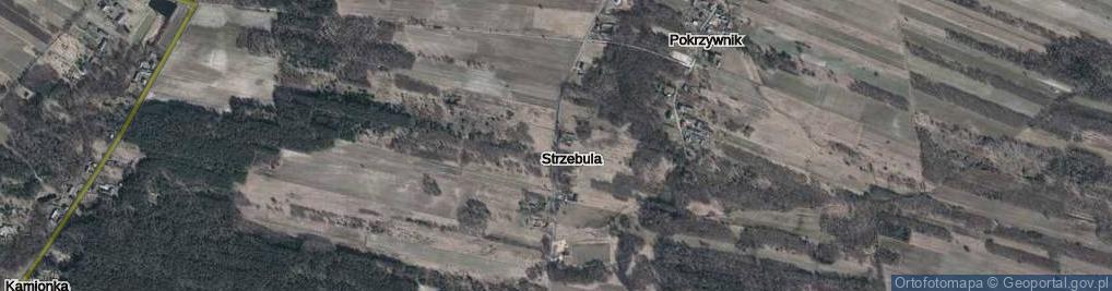 Zdjęcie satelitarne Strzebula ul.