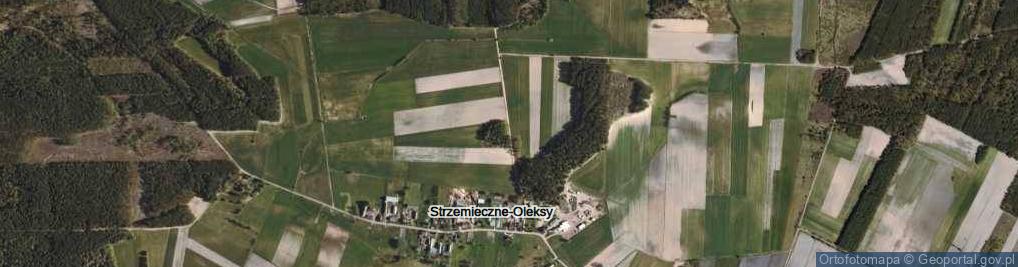 Zdjęcie satelitarne Strzemieczne-Oleksy ul.